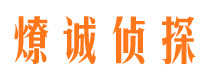 广阳市私家侦探